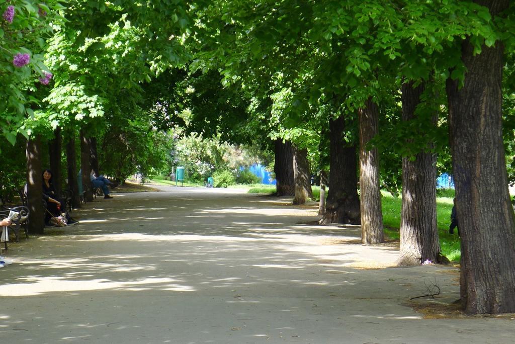 Condo Vinohrady II Πράγα Εξωτερικό φωτογραφία